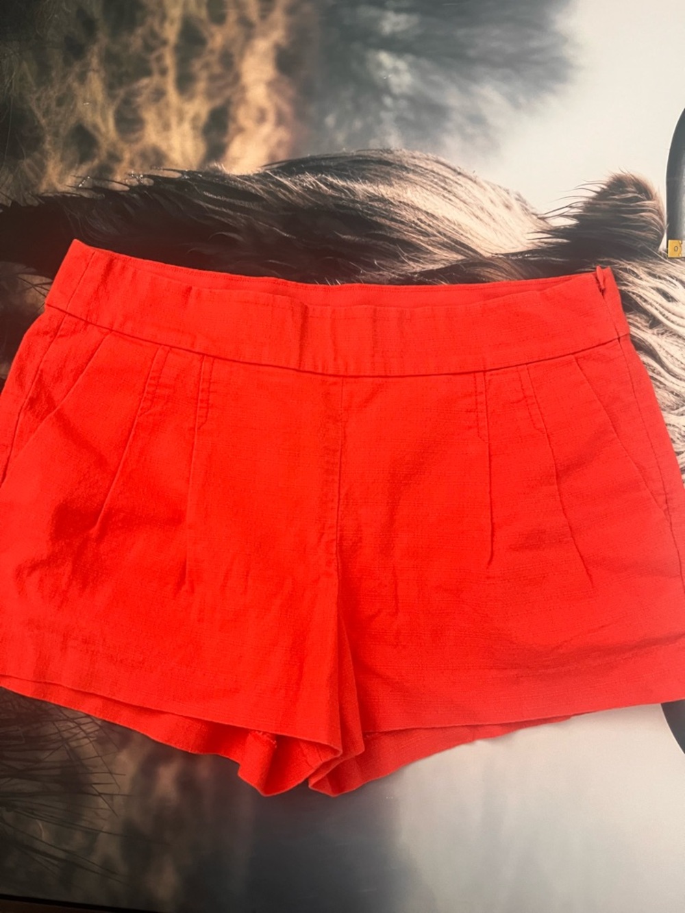 J. Crew Coral-Red High Waist Tailored Shorts - Picture 2 of 8